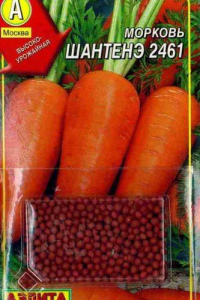 Морковь Гранулированная Шантенэ 2461 А