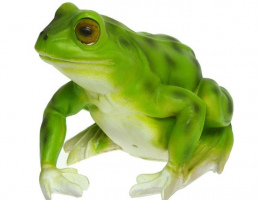 Фигура 