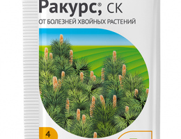 РАКУРС 4мл