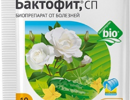 Бактофит 10г