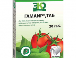 ГАМАИР 20таб