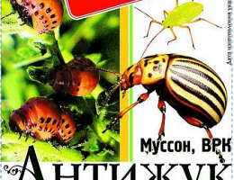 АНТИЖУК 1мл