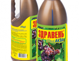 ЗДРАВЕНЬ АКВА 1,85л Виноград