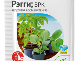 РЭГГИ 1мл