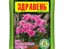 ЗДРАВЕНЬ 30г Комнатные