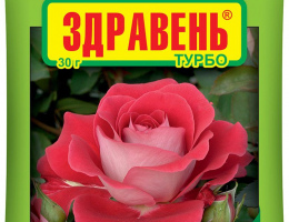 ЗДРАВЕНЬ 30г Роза Бегония Сенполия