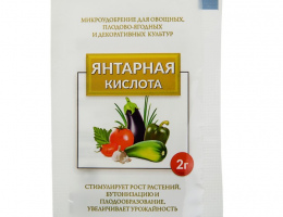 Янтарная Кислота 2г