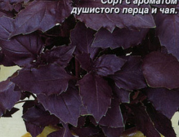 Базилик Ереванский Фиолетовый 0,3г А