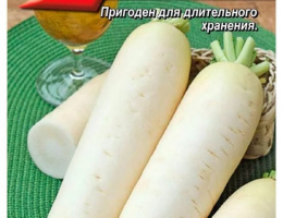 Дайкон Московский Богатырь 1г А