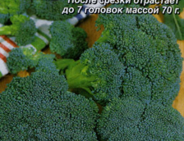 Капуста брокколи Линда Ср. 0,3г С