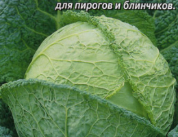 Капуста савойская Золотая Ранняя 0,5г А