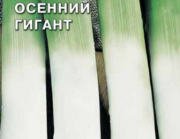 Лук порей Осенний Гигант 1г С