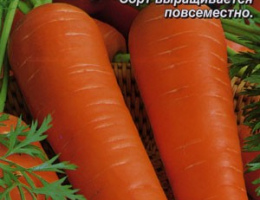 Морковь Лосиноостровская 13 2г А