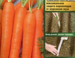 Морковь на ленте Нантская 4 8м А