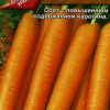 Морковь Нантская 4 2г А