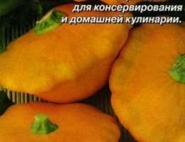 Патиссон НЛО Оранжевый 1г А