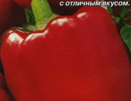 Перец сладкий Агаповский 0,3г А