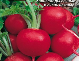Редис 16 Дней 3г А