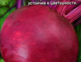 Свекла Столовая Детройт 3г А