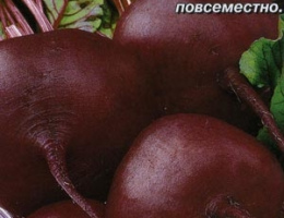 Свекла Столовая Египетская Плоская 3г А
