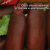 Свекла Столовая Цилиндра 3г А