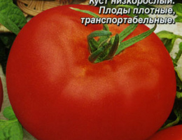 Томат Санька 0,1г А