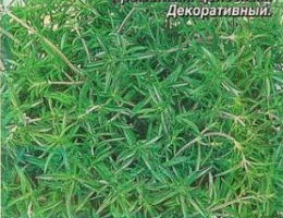 Чабрец Сила Духа 0,05г А