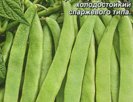 Фасоль Московская Белая 556 зеленостручная 8г