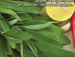 Шалфей Добрыня Лекарственный 0,2г А