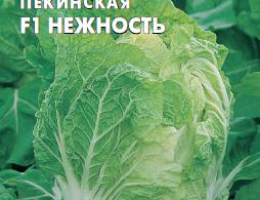 Капуста пекинская Нежность F1 10шт