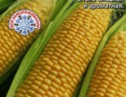 Кукуруза Ранняя Лакомка сахарная 121 7г А