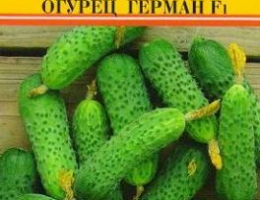 Огурец Герман F1 10шт RS