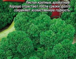 Петрушка Бабушкина Грядка кудрявая 2г А