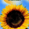 Подсолнечник Лакомка 10г Г