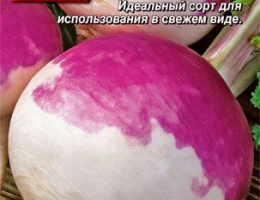 Репа Внучка 1г А