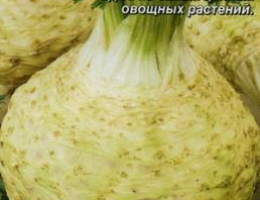 Сельдерей Яблочный Корневой 0,5г А