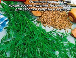 Тмин Аппетитный 0,3г А