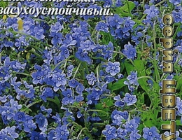 Чернокорень Гроза Мышей 0,5г А