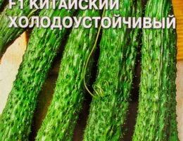 Огурец Китайский Холодоустойчивый F1 0,2г С