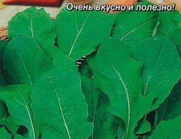Руккола с Крупным Листом 0,3г А