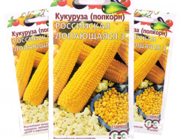Кукуруза Российская поп-корн лопающаяся 5г Г