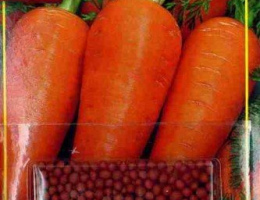 Морковь Гранулированная Шантенэ 2461 А