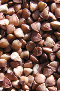 Семена весовые ГРЕЧИХА Медонос (0,5кг)