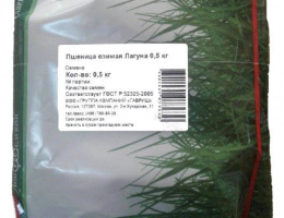 Семена весовые Пшеница Озимая Лагуна 0,5кг