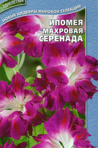 Цветы Ипомея Серенада махровая 0,21г А