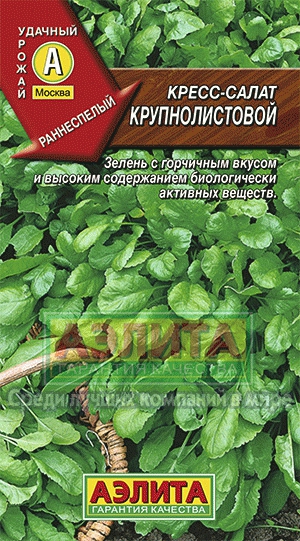 Салат Крупнолистовой Кресс-салат 1г А