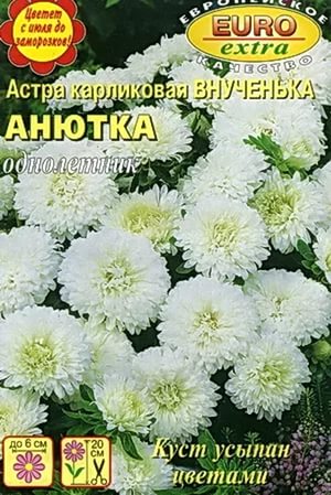 Цветы Астра Внученька Анютка Карликовая 0,1г А