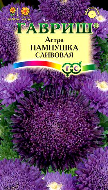 Цветы Астра Пампушка Сливовая 0,3г Г