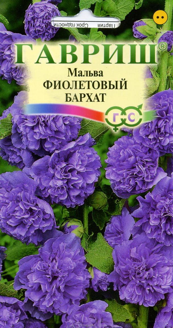 Цветы Мальва Фиолетовый Бархат 0,1г Г